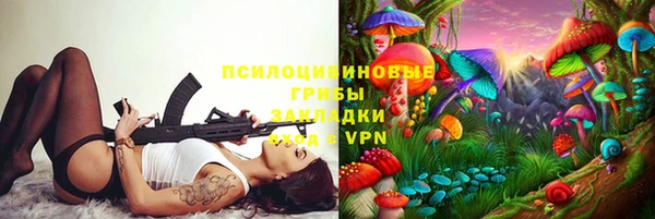 соль ск Осинники
