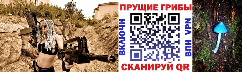 Галлюциногенные грибы GOLDEN TEACHER Поворино