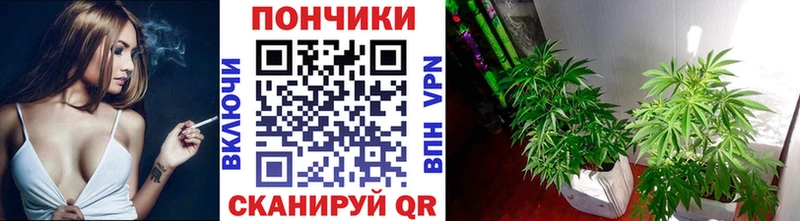 гидра как зайти Поворино Канабис сатива